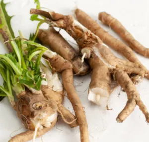 Chicory Root Inulin ingredient